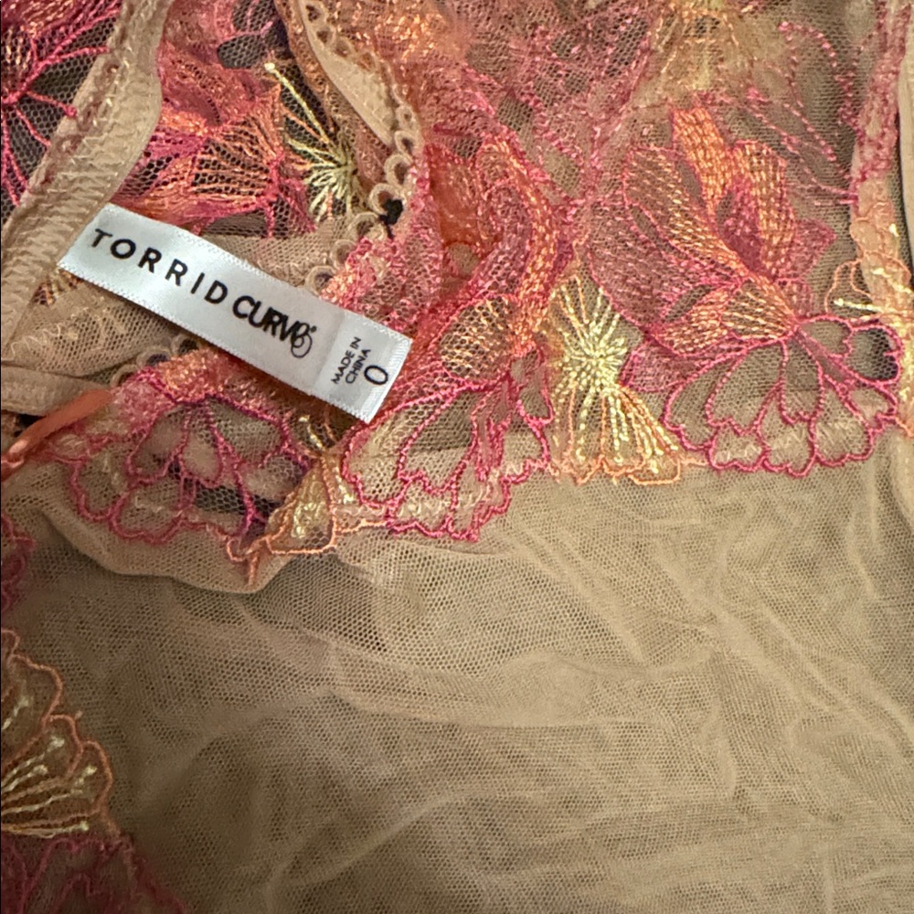 TORRID (00/0) Sheer Lace Underwire Bra & Brief Set in Nude with Pink Embroidery - Picture 5 of 5